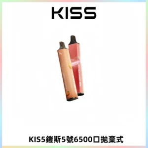 KIS5鎧斯5號一次性6500口磁吸式拋棄式電子煙#自由混搭#